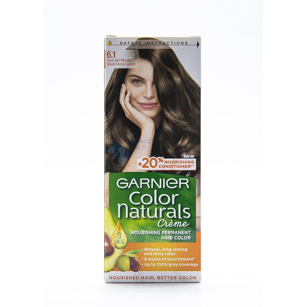 Garnier # 6.1 أشقر غامق رمادي